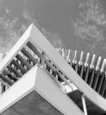 Untitled design (13)