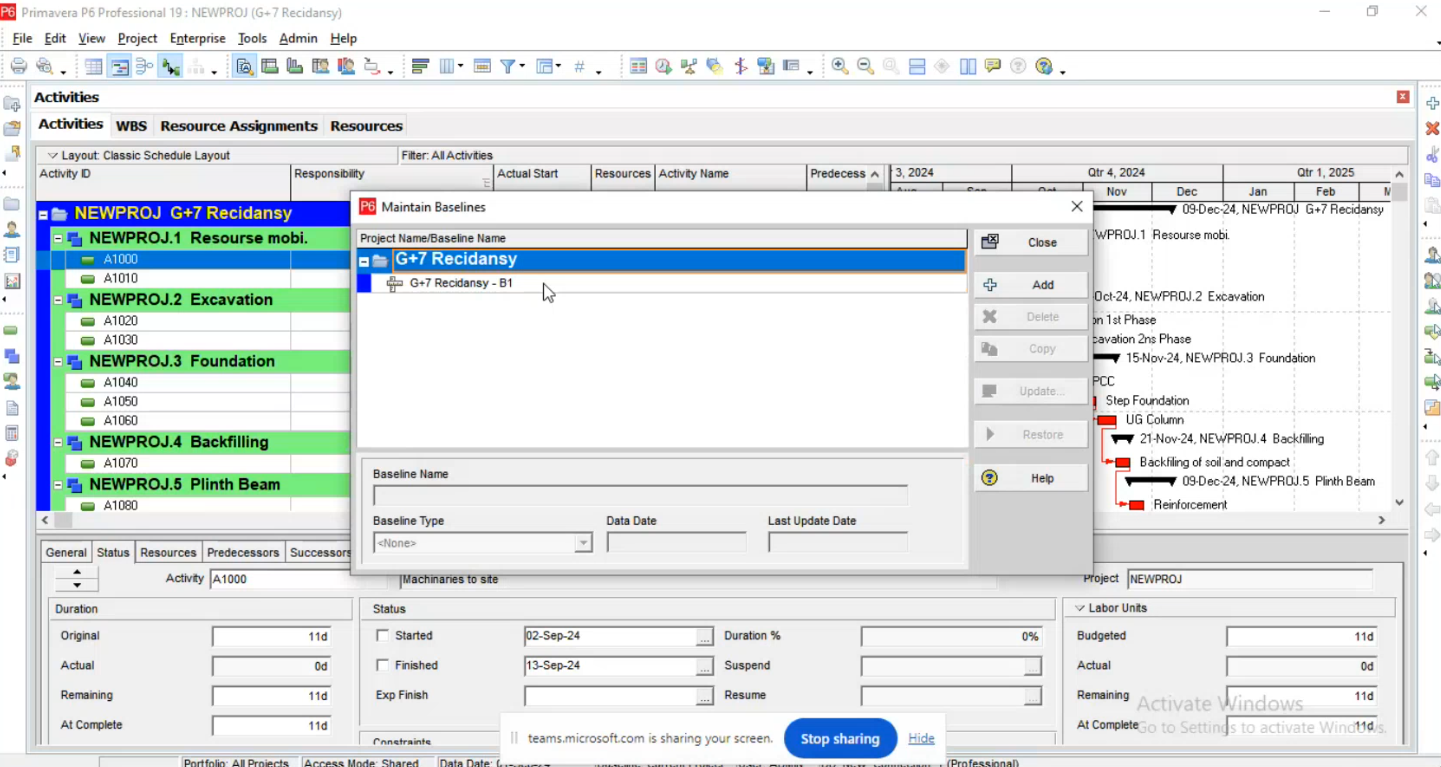 Project Management (Primavera P6)